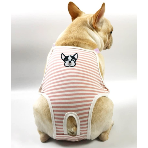 Anjing Kecil Cute Summer Cotton Stripe Sanitary Pantie