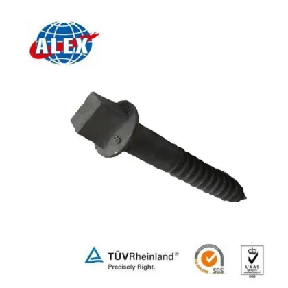 Rail Coach Screw, Coach Screw Supplier, Coach Screw Square Head Jiangsu