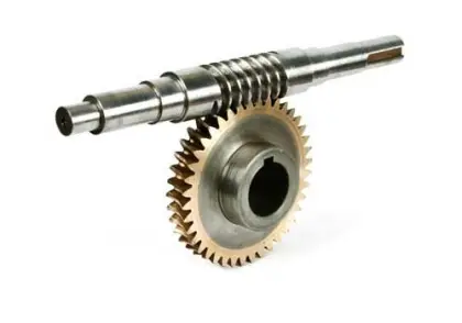 Zhejiang Factory OEM Worm Wheel Worm Gear Customization