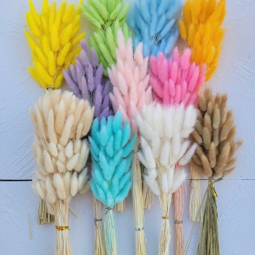 2022 Popular Wholesale Dried Natural Brown Bunny Tails for Decoration