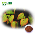 Ekstrak Epimedium Grandiflorum Icariin Powder 20% HPLC