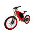 Bicicleta eléctrica de la batería de litio personalizada eléctrica
