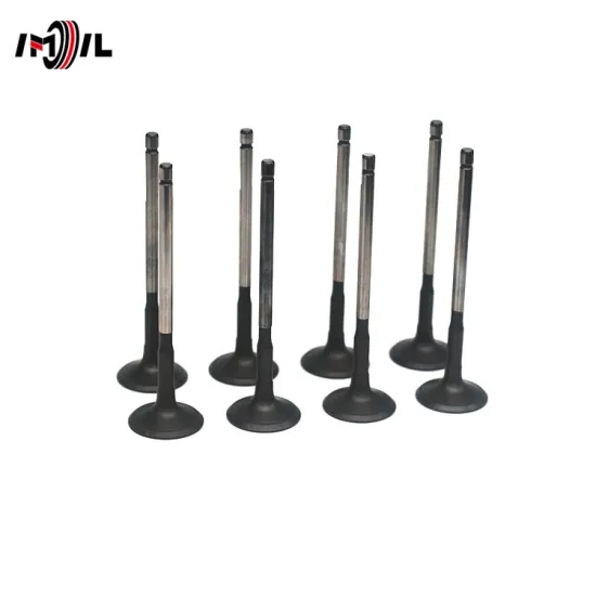 IMIL Brand Exhaust Valve 13715-25020 for Toyota CAMRY, CROWN, AVALON, HARRIER, VENZA, GRANVIA, RAV4, ALPHARD