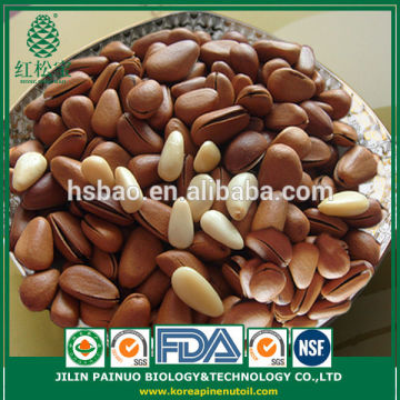 Direct Buy from China Manufacture Open Pine Nuts in Shell