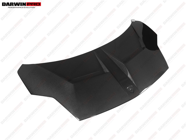 Darwinpro Iron Style Carbon Fiber Hood For Lamborghini Gallardo Lp540 ...