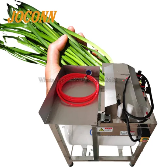 Popular Shallot Lettuce Peeler - Green Onion Skin Removing Machine