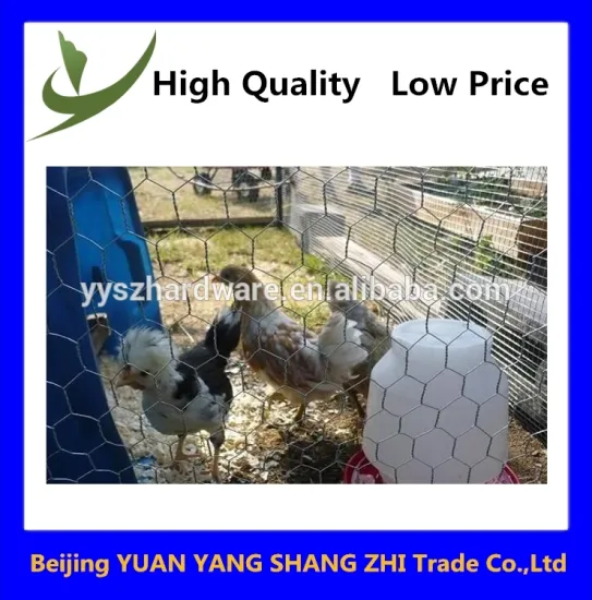 Stainless chicken coop hexagonal wire mesh