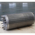 High Voltage Motor Stator Coil for Electrical Generator