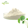 High-quality Madecassoside is used for skin care