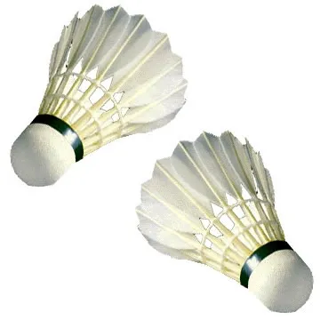 badminton