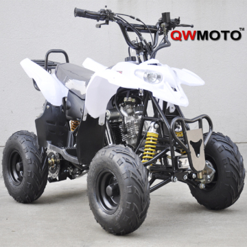 off Road 50CC /110CC Polaris ATV Quad CE