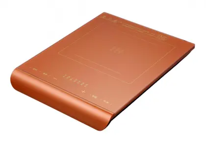 Home Smart Waterproof Induction Cooker 2200W