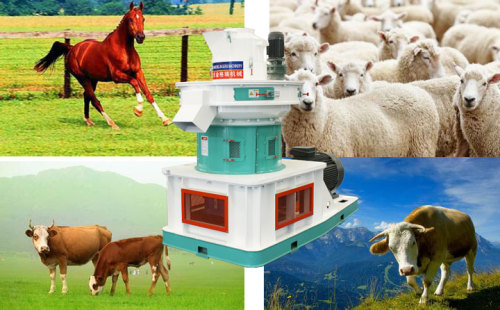 China customized rabbit feed press machines for sale in Africa----Jingerui