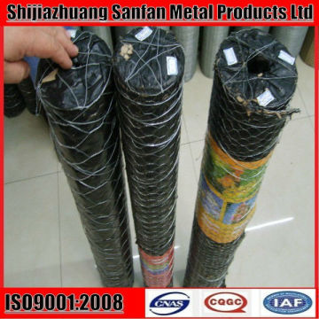 hexagonal wire mesh