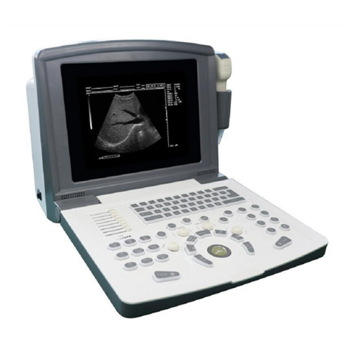 Portable B Ultrasound Scanner for sheep pig horse