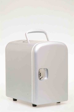 4L Mini Cooler