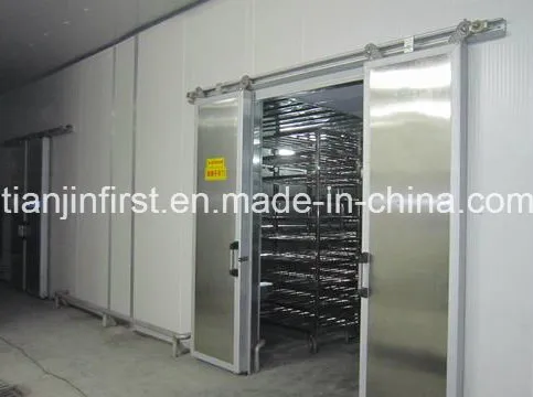 Thawing Equipment for Heating Frozen Meat