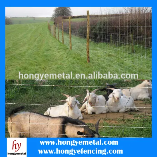 Best Seller Galvanized Sheep Wire Mesh Fence