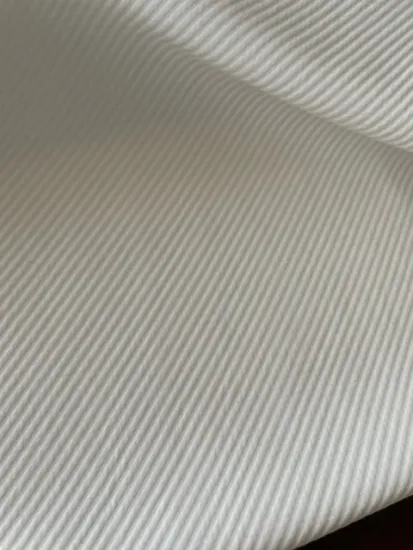 rayon nylon big twill in heavy weight fabric for lady's outwear