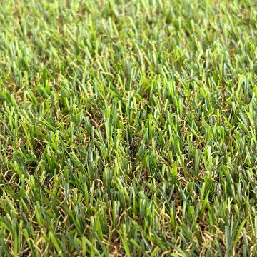 Park Grass Artificial Turf for Landscaping