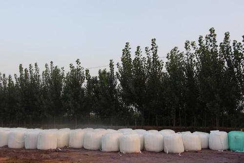 UV Stabilized White Plastic silage bunker covering