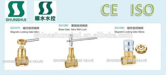 SS1060 Magnetic Locking Gate Valve
