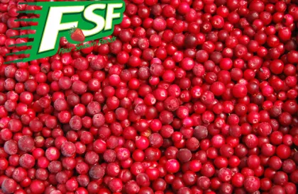 Frozen Lingonberry