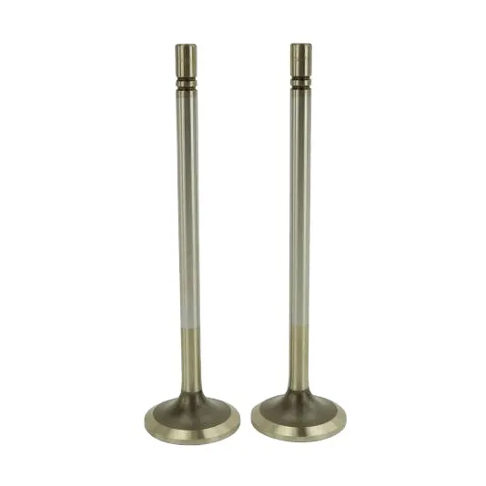 Caterpillar OE 7N0359 7N0360 High Performance Engine Valve