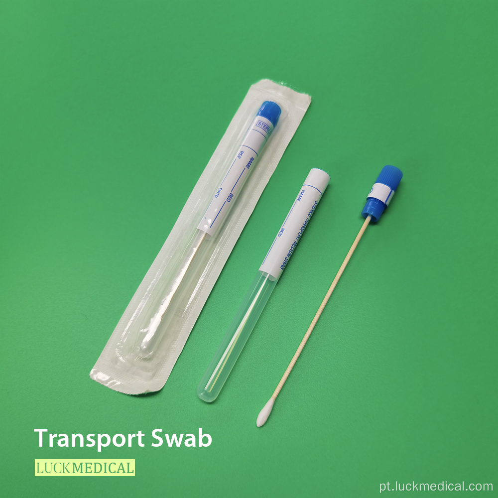 Swab de transporte na ponta do algodão de madeira do tubo