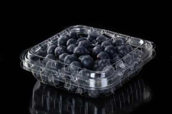 Blueberry Picking and Packaging