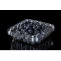 Kotak Kemasan Clamshell Buah Blueberry Promosi