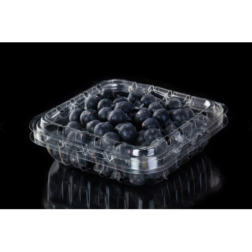 Pemetik dan kemasan blueberry