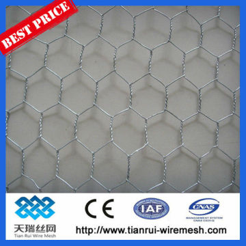 chicken wire mesh/hexagonal wire netting/hexagonal wire mesh