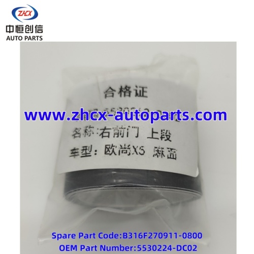 Διακοσμητική πόρτα Διακοσμητικό Filfor Changan Oshan x5