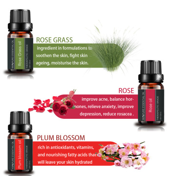 supply Palmarosa Essential Oil Natural Rosegrass Oil