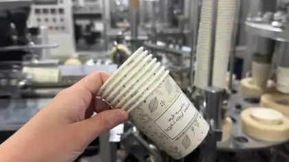 Customized Paper Cup Making Machine - 60 Pcs/Min Automation Paper Product Machinery