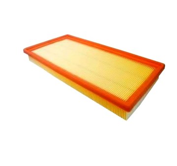 Professioneller Hersteller PW811941 Luftfilter für Proton