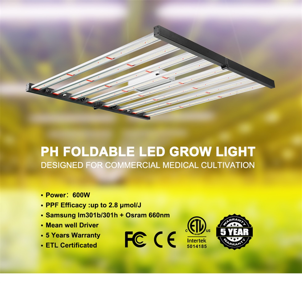 600W LED Grow Light - 1