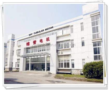 59mm Single Phase Asynchronous Leroy Somer Motor for Rolling Door