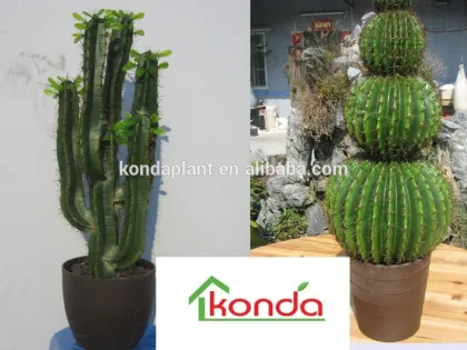 Best selling artificial cactus plants,large cactus indoor plants,christmas cactus plant,mexico cactus plant