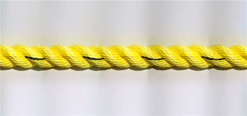 pp danline rope