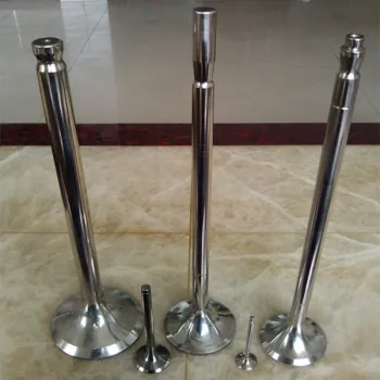 Diesel Engine Parts 16/24 Inlet valves