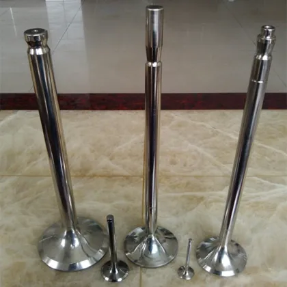 Boat Marine Engine Parts Outboard Motors N330 Exhaust valves Engine Valves