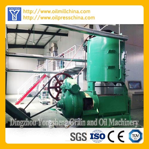 Rapseed Oil Extraction Machine