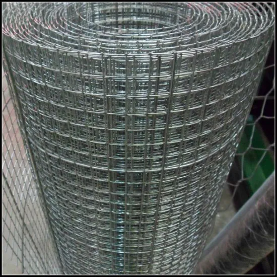 PVC coated 1/4 inch galvanized welded wire mesh(30 years factory)