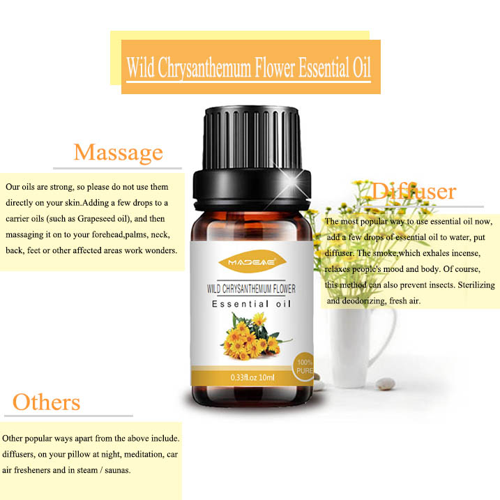 Bulk wild chrysanthemum flower oil extract essential oil