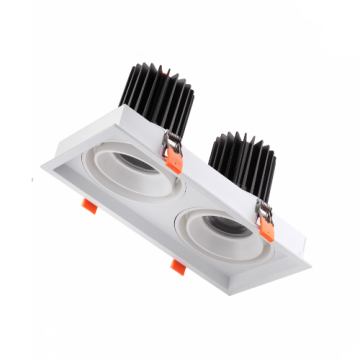 Soluzione di illuminazione LEDER Faretto LED commerciale 2*30W