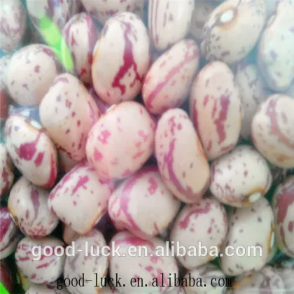 Speckled kidney beans