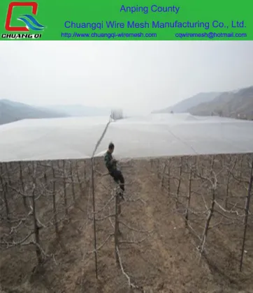 High quality Apple Tree Anti Hail Net,hail protection Net