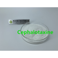 Céphalotaxine Poudre CAS 24316-19-6 Anti-Cancer